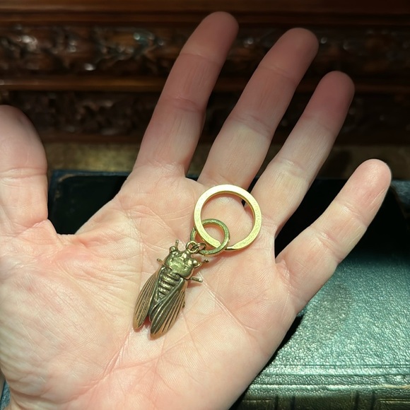 Detailed Solid Brass Cicada Keychain on Solid Brass Split Rings - Picture 6 of 10